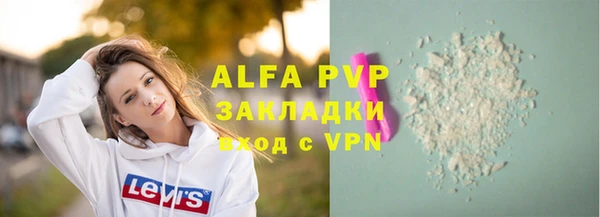 spice Богданович