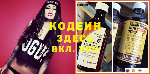 амф Алексин