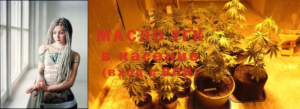 мяу мяу мука Аркадак
