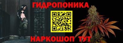 прущие грибы Малгобек