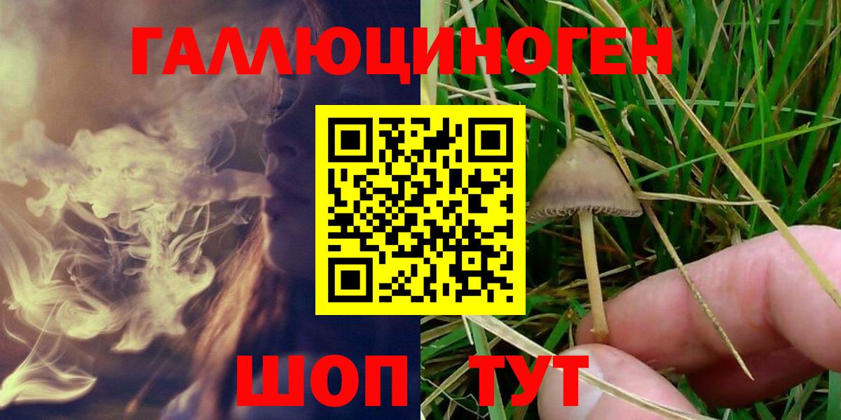 Галлюциногенные грибы GOLDEN TEACHER Улан-Удэ