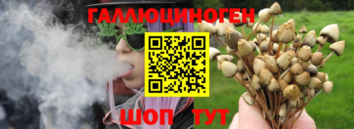 Улан-Удэ  Галлюциногенные грибы прущие грибы  Вход с VPN  Галлюциногенные грибы MAGIC MUSHROOMS 